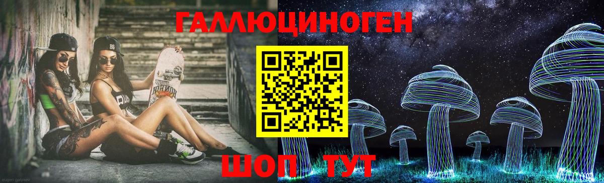 Псилоцибиновые грибы GOLDEN TEACHER  Галлюциногенные грибы мухоморы  Каспийск  Вход с VPN 